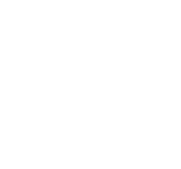 ico pro1