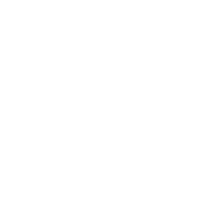 ico pro2