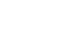 ico pro3