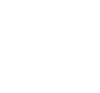 ico pro4