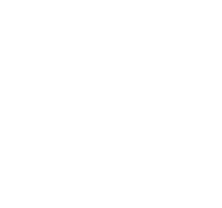 ico pro5
