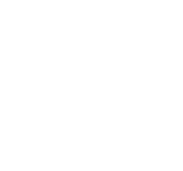 ico pro6